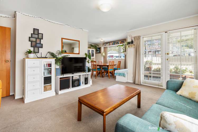 165a Queens Drive Lyall Bay_2