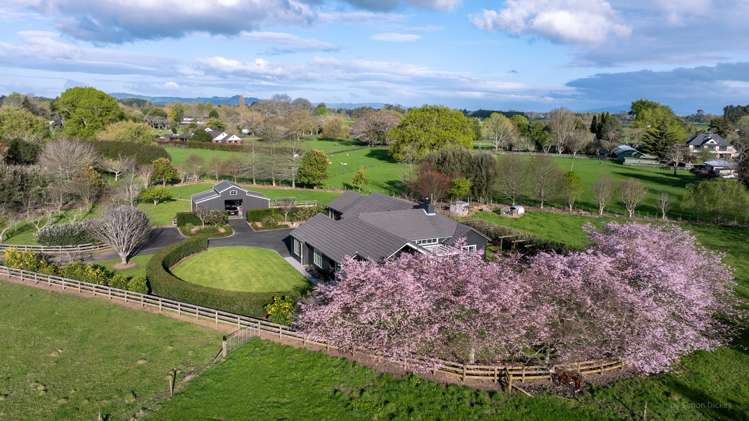 67d Davison Road Newstead_1