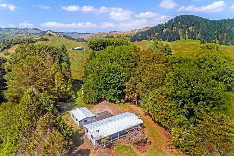 Lot 2,/229 Rangikohua Road Tolaga Bay_14