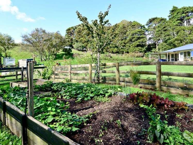 14 Genevieve Way Whatawhata_7