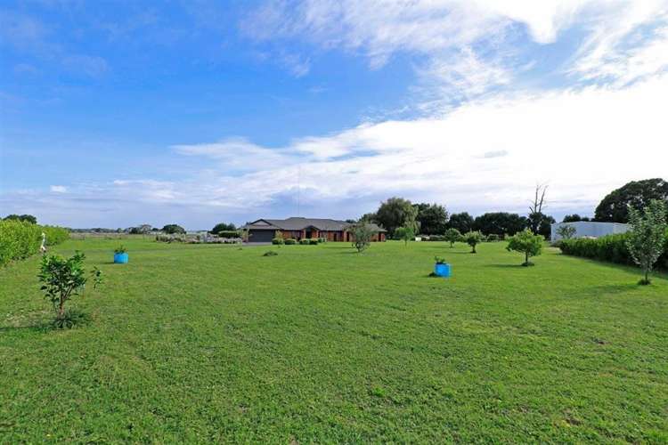 67a Davison Road Newstead_5