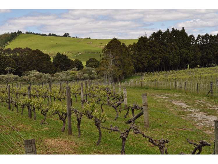 74 Guy Road Kaikohe_11