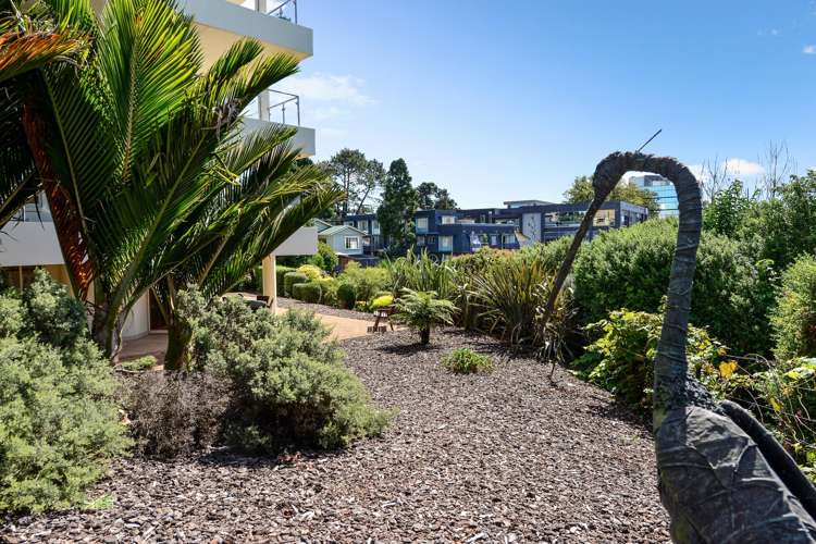 40i Thackeray Street Hamilton Lake_20