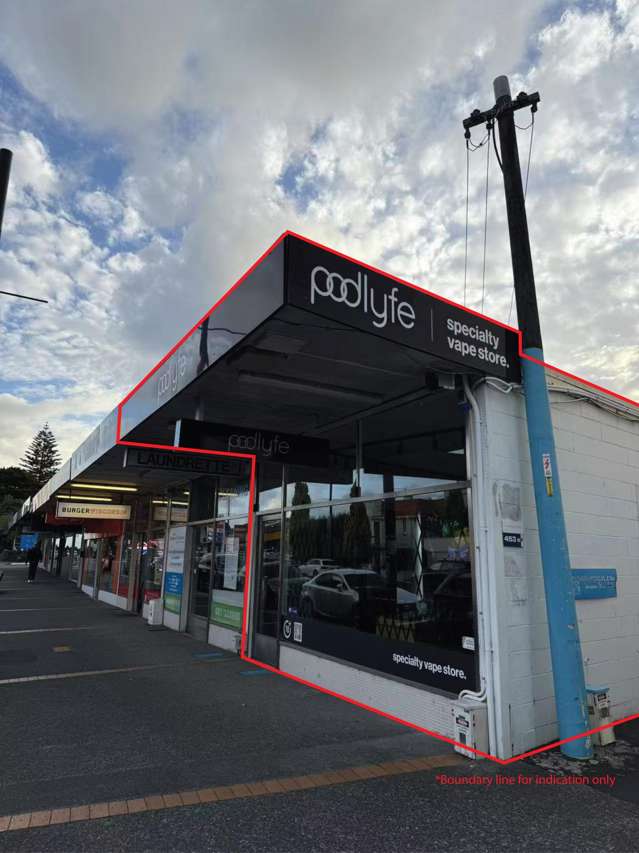 453A Mount Eden Road Mount Eden_1