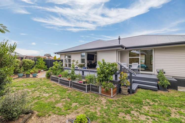 10 Cowper Place Avondale_1