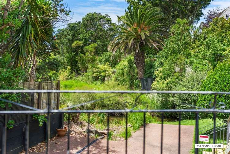 75A&B Ngapuhi Road Remuera_24