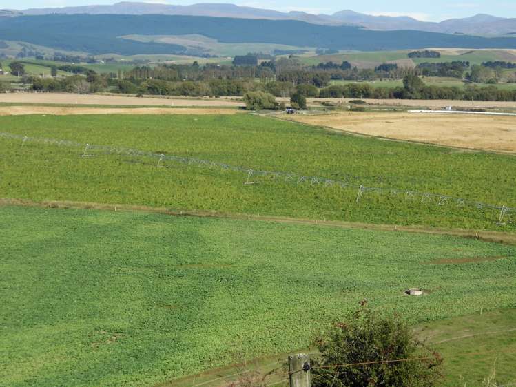 Clarks Field, Alma-Maheno Road_0