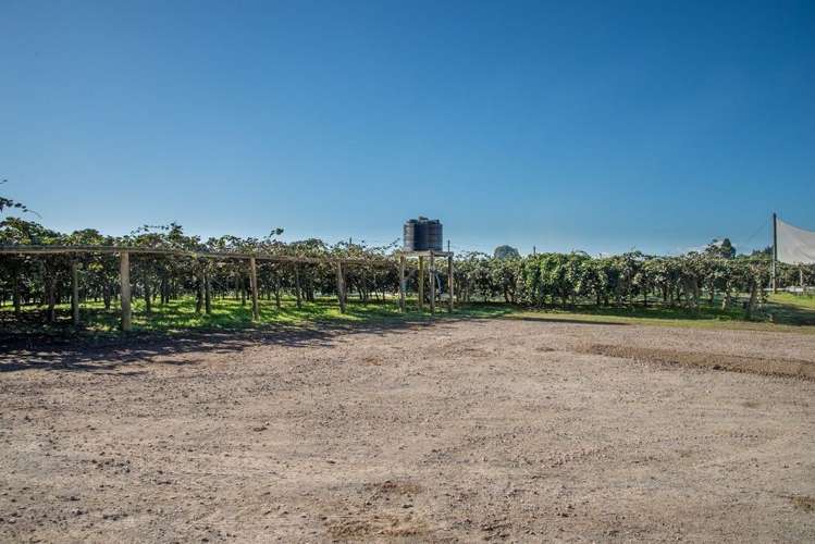 28 Lochhead Road Te Puna_5