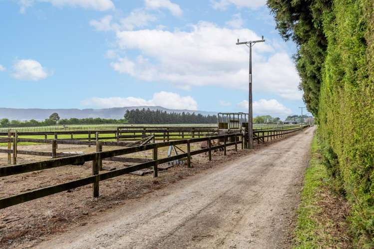 Lot Lot 2/159 Banks Road Matamata_39