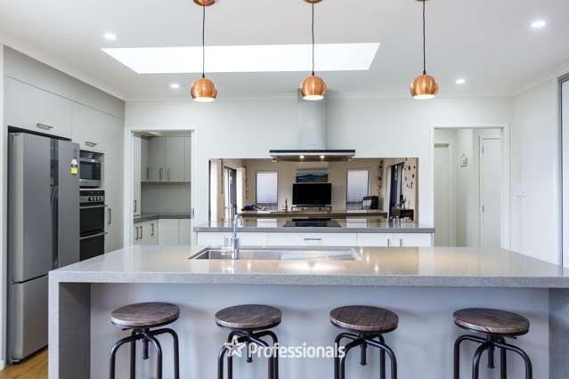 19 Te Punga Road Wallaceville_1