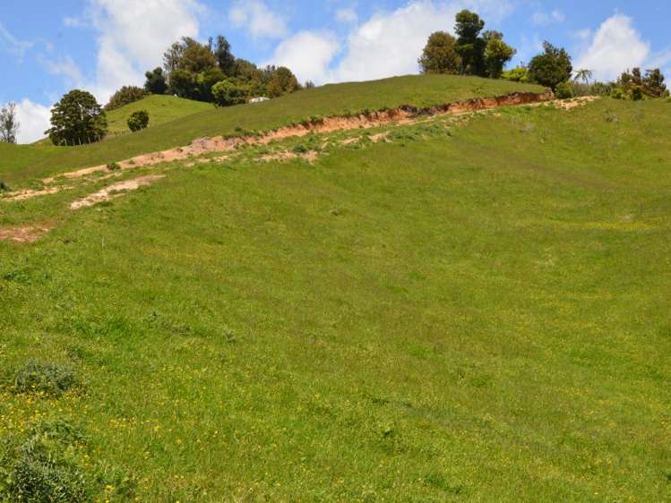 1630 Aotearoa Road Wharepapa South_5