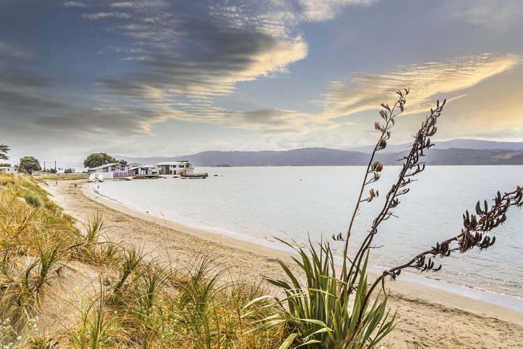 213 Marine Parade Seatoun_18