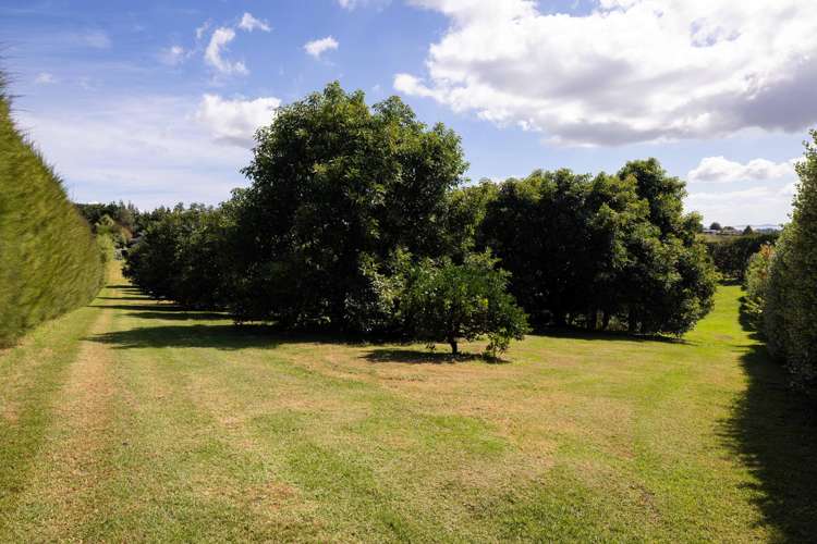 313 Youngson Road Whakamarama_30