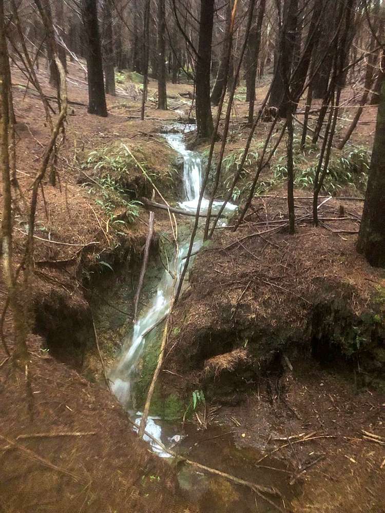 88 Leccino Valley Road Mangonui_31