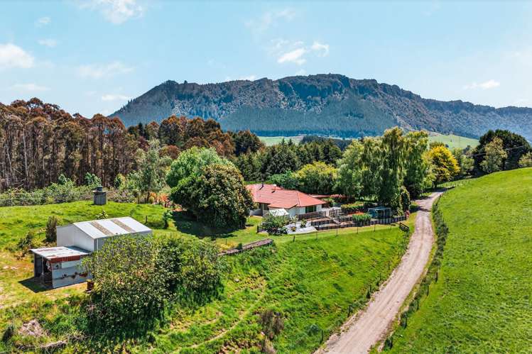 1637A State Highway 30 Horohoro_26