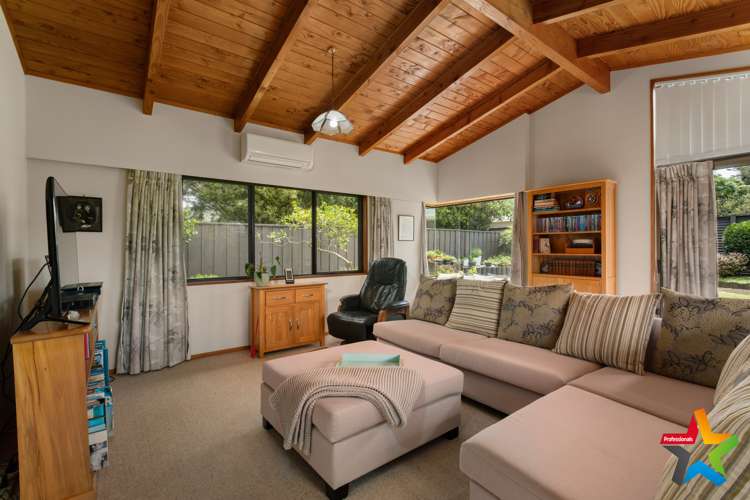 60 Parry Palm Avenue Waihi_10