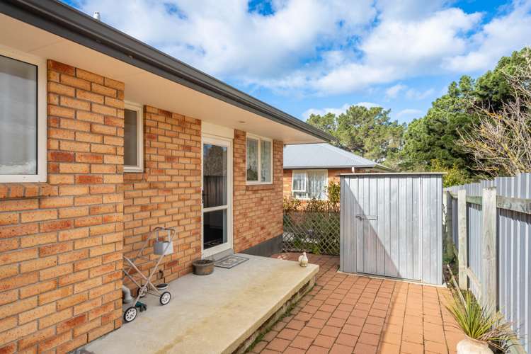 84b Ronaldsay Street Palmerston_16