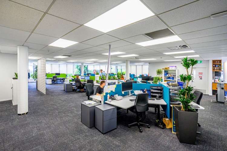 264 Mount Eden Road Mt Eden_5