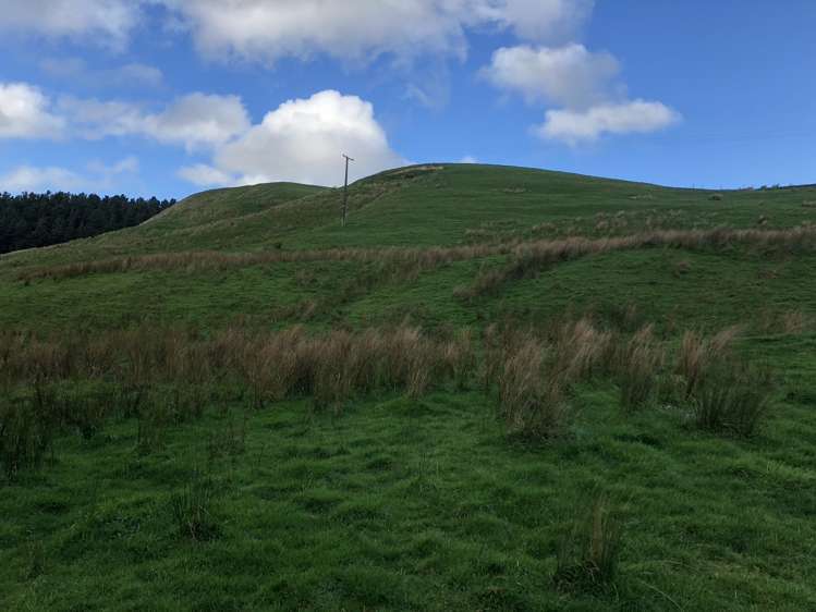 337 Saunders Road Eketahuna_15