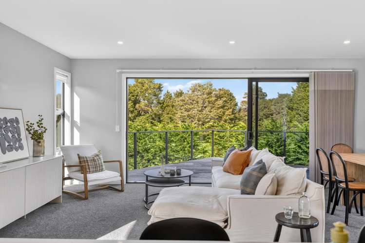 26b River View Road Morrinsville_12