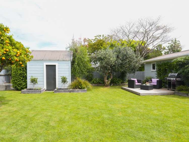 47 Napier Street Jervoistown_18