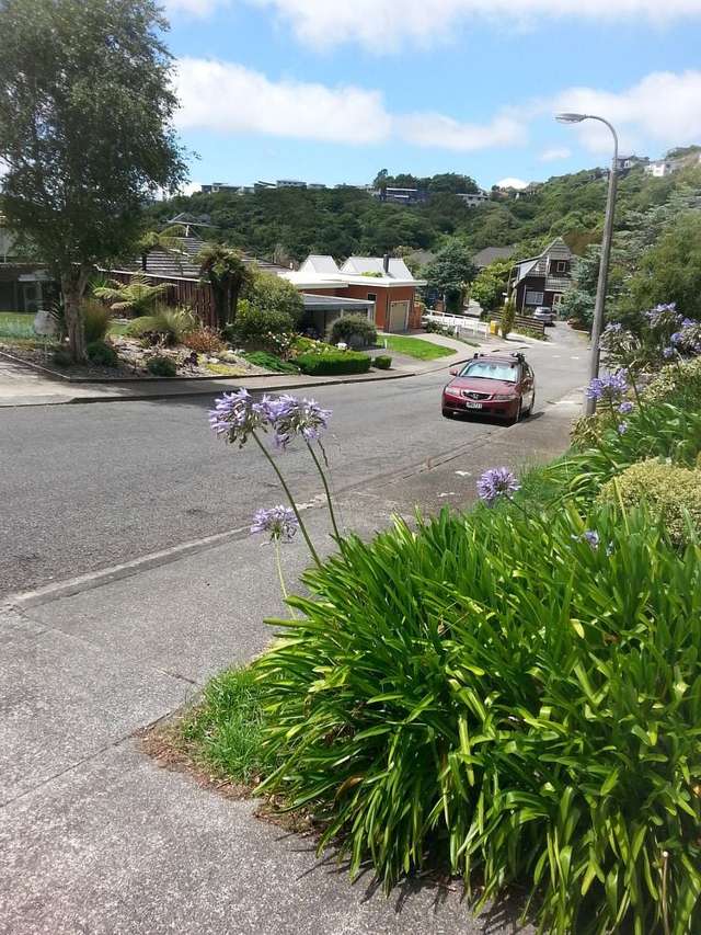 32A Lynmouth Avenue Karori_1