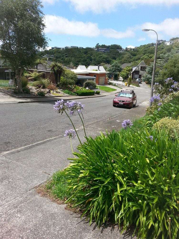 32A Lynmouth Avenue Karori_1