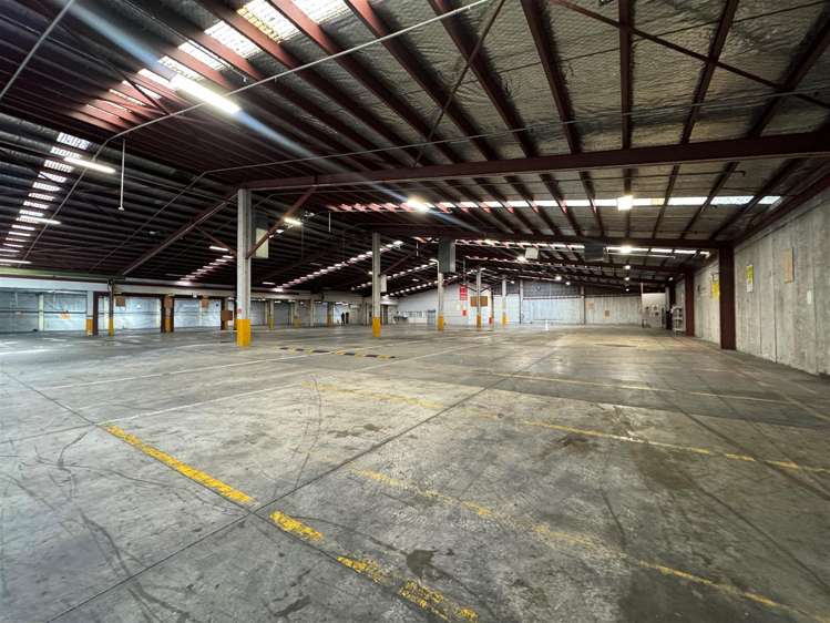 11 McDonald Street Morningside_5