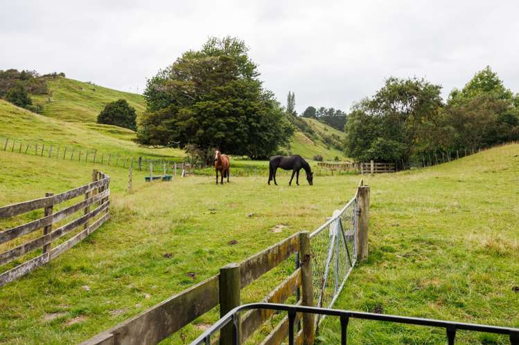 29 Kuku Road Pohangina_41