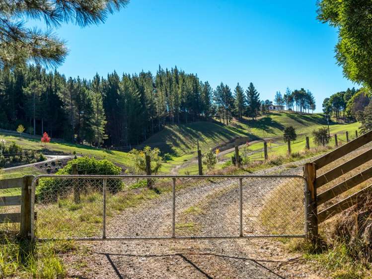 22 Kina Peninsula Road Tasman_19