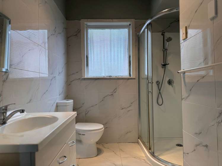 58 Greenpark Road Penrose_9