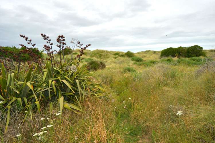 151c Rocking Horse Road Southshore_3