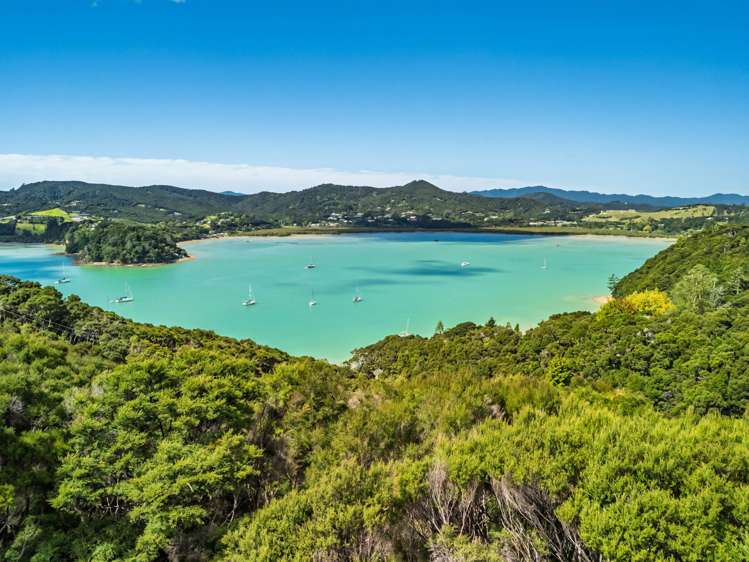 Kanuka Grove Russell_6