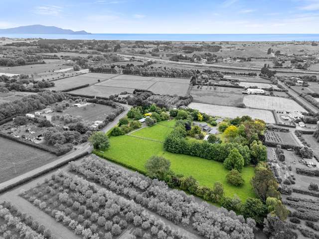 99 Settlement Road Te Horo_1