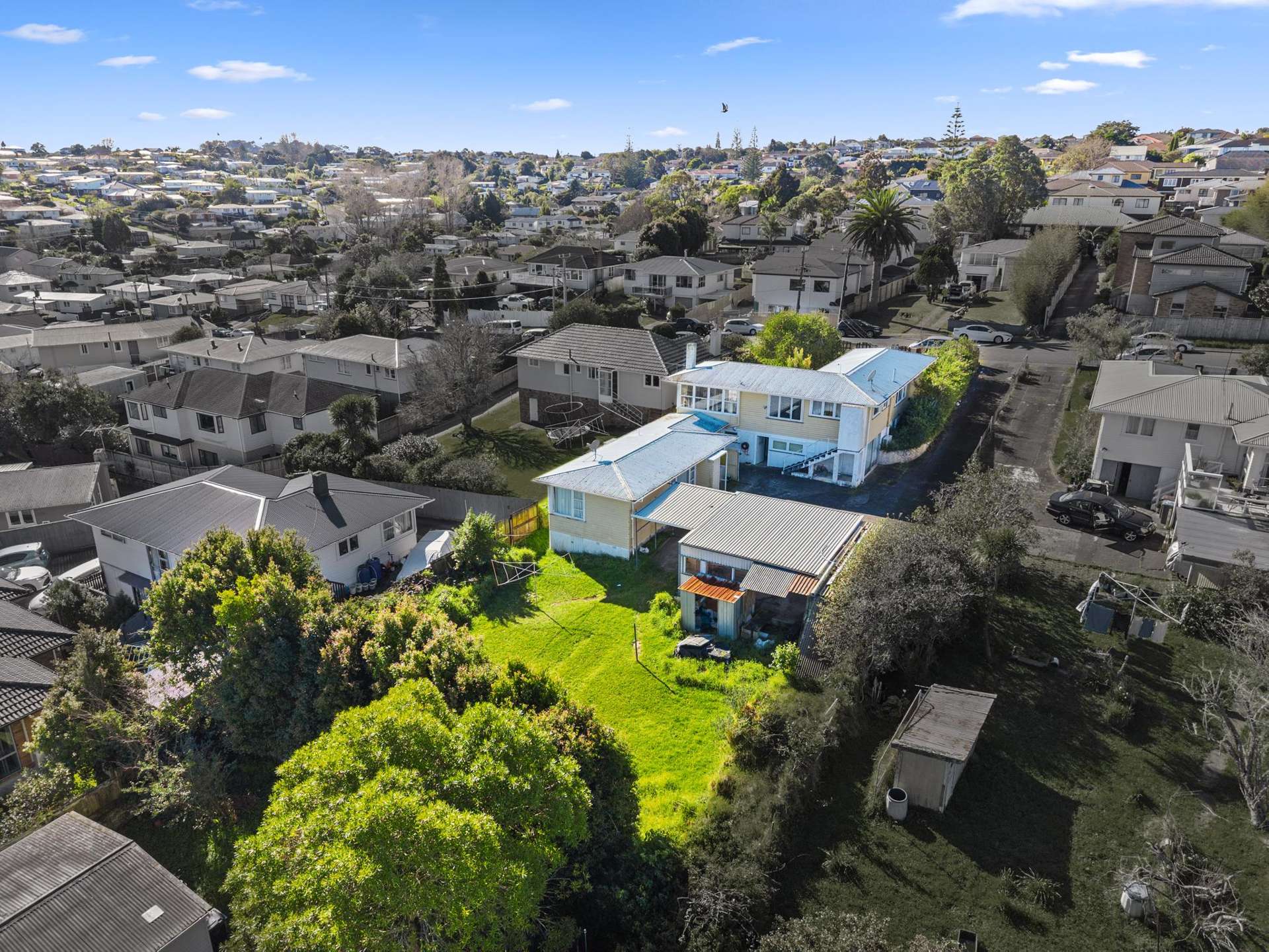 50 Ellis Avenue Mount Roskill_0