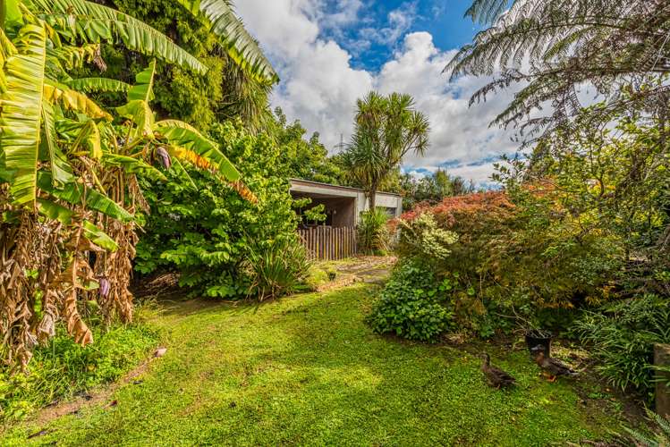 16 Maple Street Avondale_5