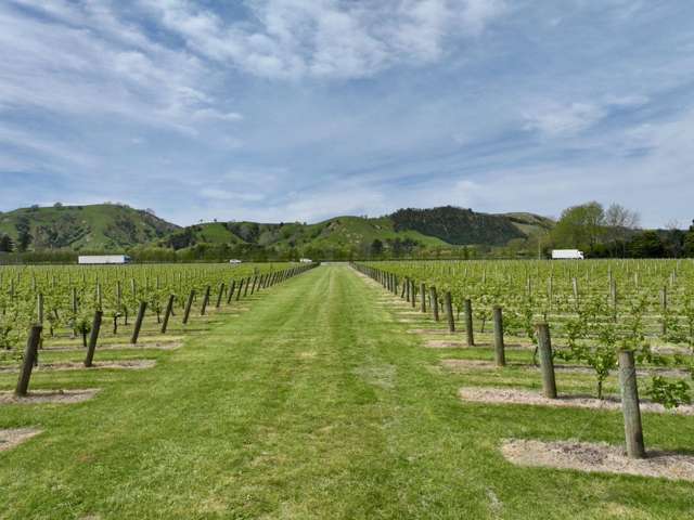 2057 Matawai Road Te Karaka_1