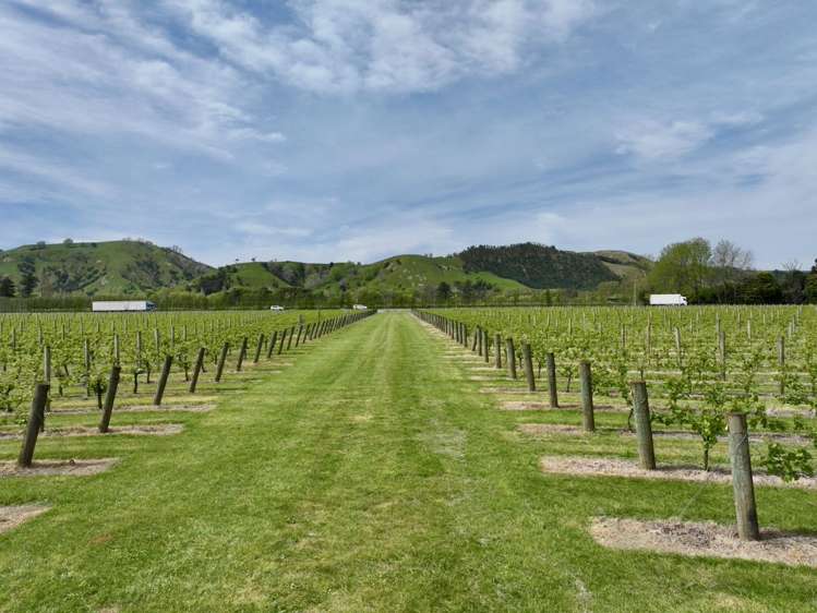 2057 Matawai Road Te Karaka_1