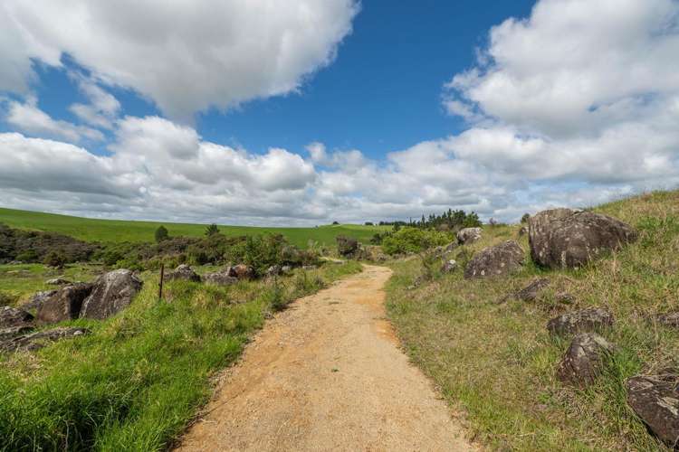 183A Wiroa Road Kerikeri_20