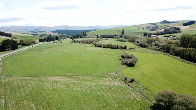 1210 Pleasant Point-Cave Highway Pleasant Point_2