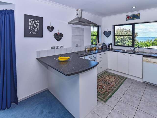 29 Saralee Drive Manurewa_4