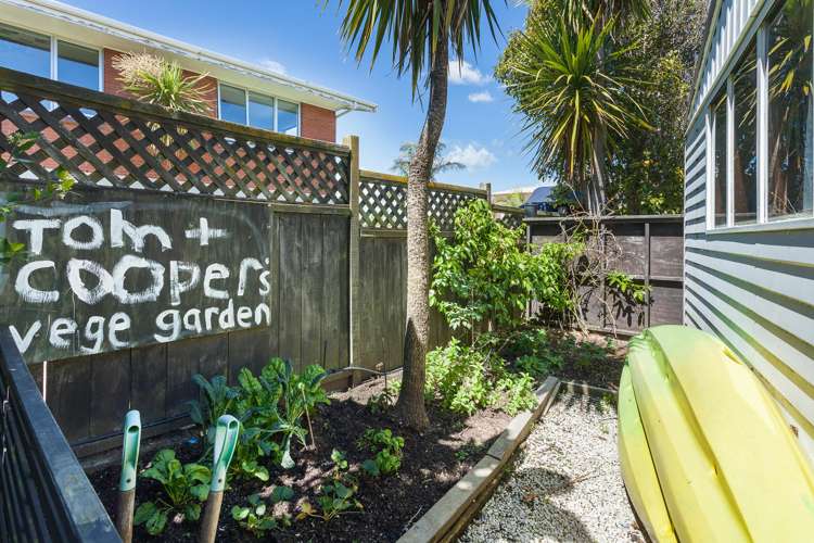 78a Orkney Road Mount Maunganui_14