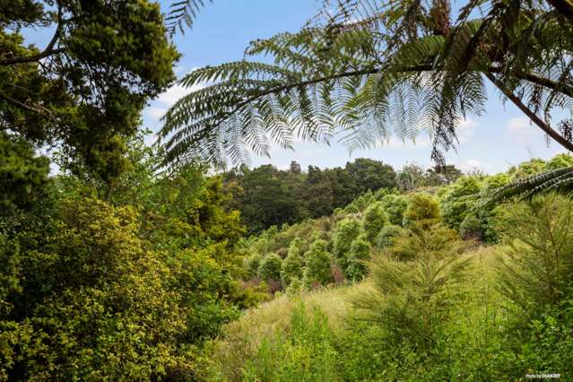 61 Gordon Francis Drive Pukekohe East_3