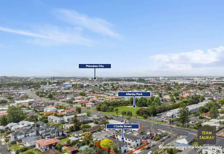1E Carlie Street Papatoetoe_9