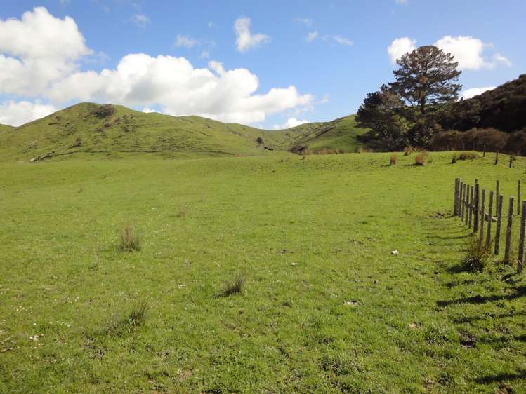 297 Kaitawa Road Pahiatua_21
