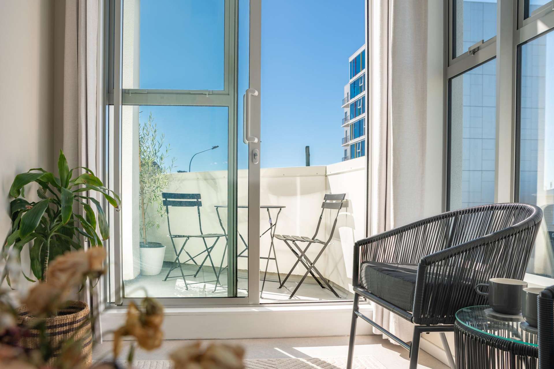 31 Karo Drive Te Aro_0