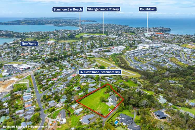 37 Scott Road Stanmore Bay_31