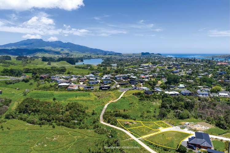 123 Greenslade Road, Waikokowai Lane Raglan_7