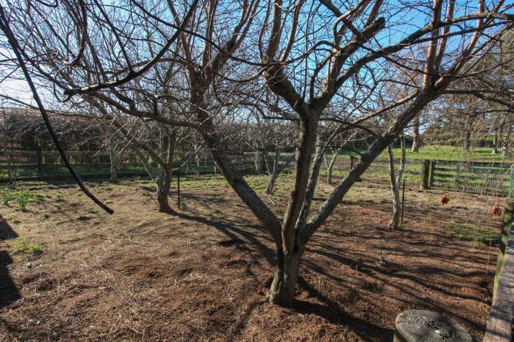 401a Marychurch Road Matangi_17