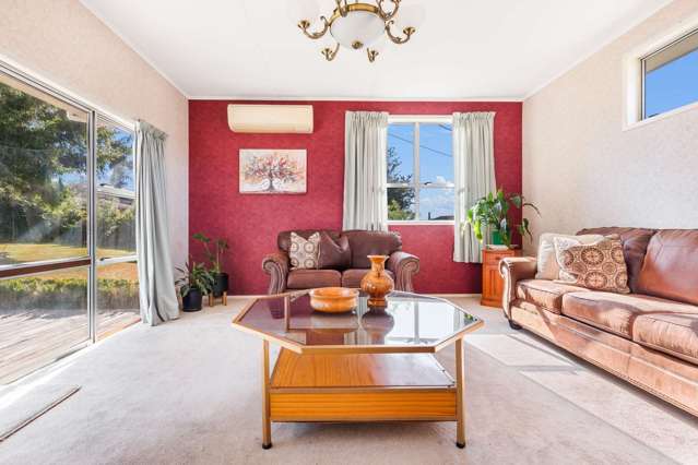 17 Collie Drive Pukehangi_3